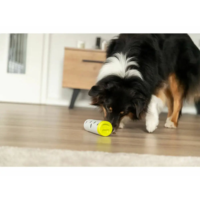 Играчка за обучение Trixie Snacks