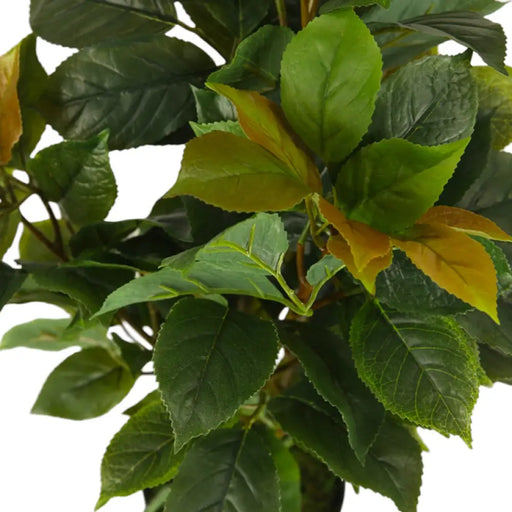 ИЗКУСТВЕНО РАСТЕНИЕ ФИКУС 65CM HD HD-10982