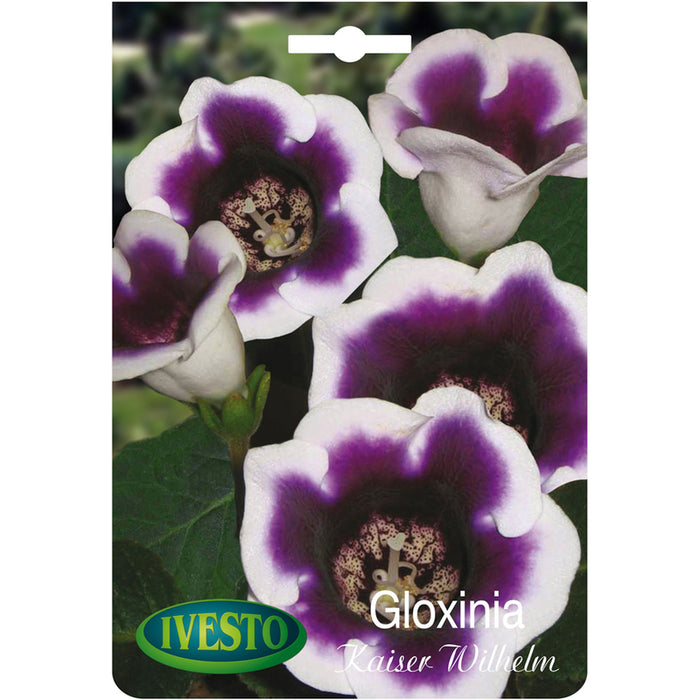 ЛУКОВИЦИ GLOXINIA IVESTO KAISER WILHELM