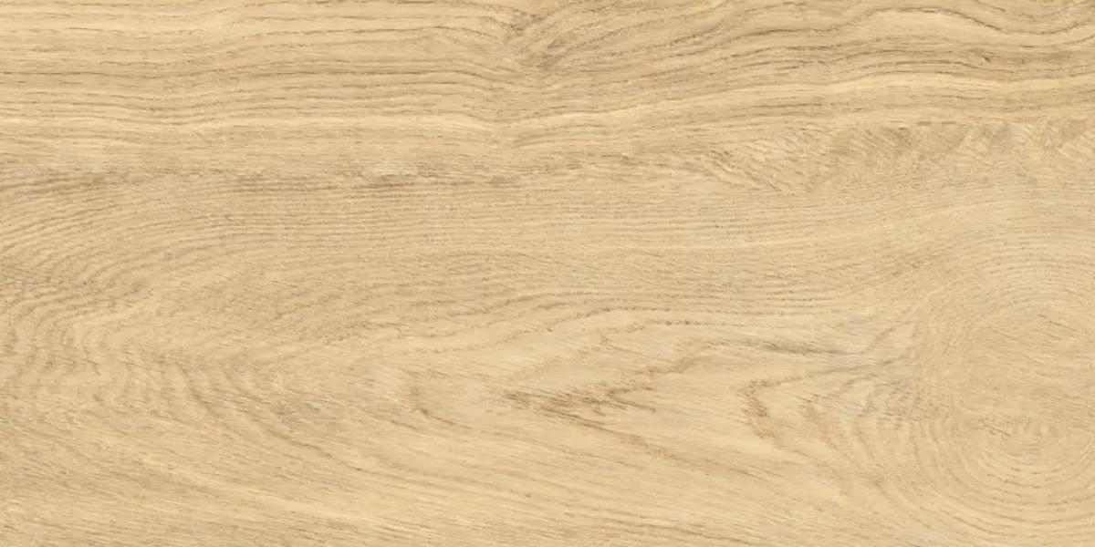 ГРАНИТОГРЕС LEONARDO NATURAL 30.3X60.6