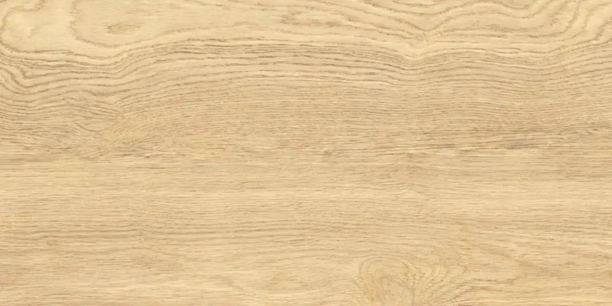 ГРАНИТОГРЕС LEONARDO NATURAL 30.3X60.6