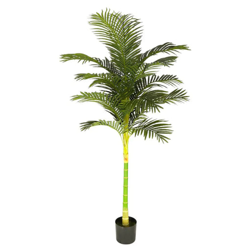 ИЗКУСТВЕНО РАСТЕНИЕ ПАЛМА АРЕКА 210CM HD HD-10974