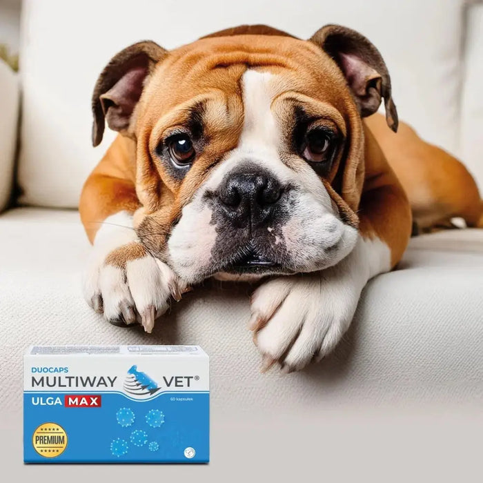 JM SANTE Multiway Vet Duocaps Ulga Max - капсули с отвиващо
