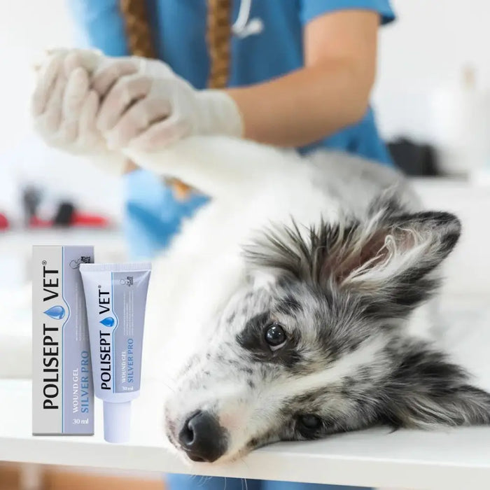 JM SANTE Polisept Vet Wound gel Silver Pro - гел превръзка