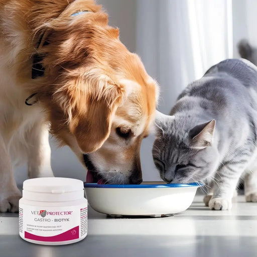 JM SANTE Vet Protector Gastro - Biotyk - мултибиотик