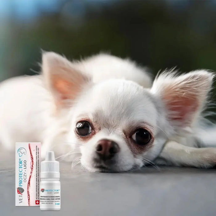 JM SANTE Vet Protector Ligo - капки за очи за кучета