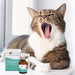 JM SANTE Vet Protector Oral cavity spray – течност за устна