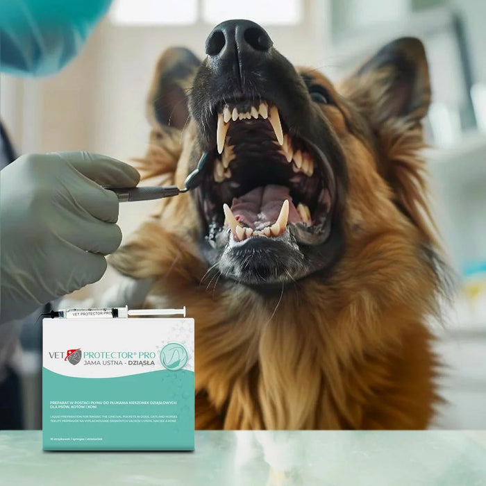 JM SANTE Pro Oral Cavity – Gums - разтвор за дентална хигиена за кучета и котки – 10×3 мл