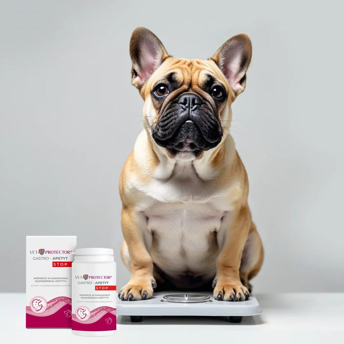JM SANTE Vet Protector® Gastro – Appetite Stop - хранителни добавки за кучета и котки - 150 г