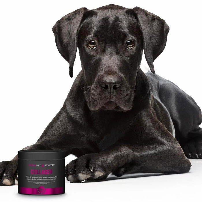 JM SANTE Monovet Power Collagen - хранителни добавки за кучета и котки - 120 г
