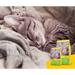 Josera 9510 суха храна за котки Adult Poultry,Rice 10 кг