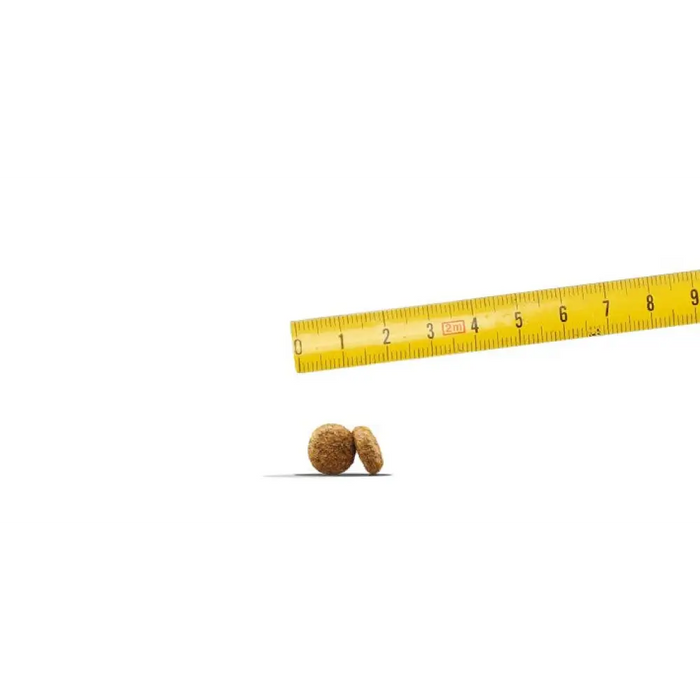 JOSERA Мини сьомга и пиле - суха храна за кучета - 10 кг