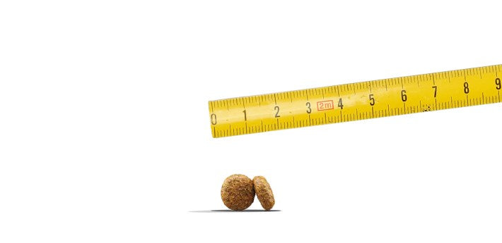 JOSERA Мини сьомга и пиле - суха храна за кучета - 10 кг