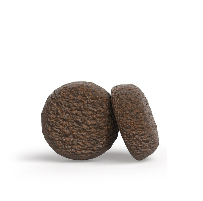 JOSERA YoungStar - суха храна за кучета - 12,5 кг