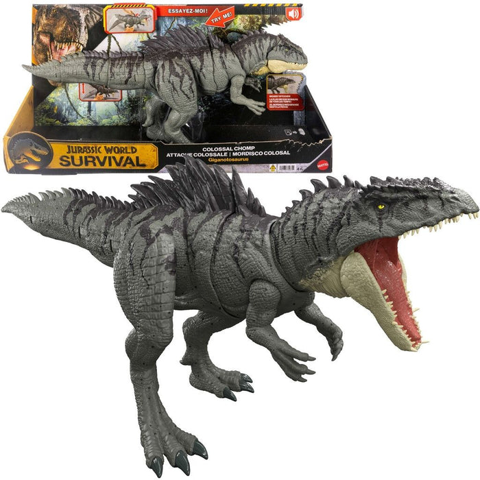 Интерактивна играчка Jurassic World - Colossal Chomp, Giganotosaurus