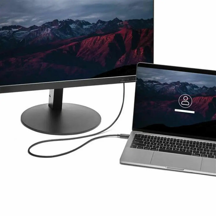 Кабел USB C към VGA Startech CDP2VGAMM2MB (2 m) Черен