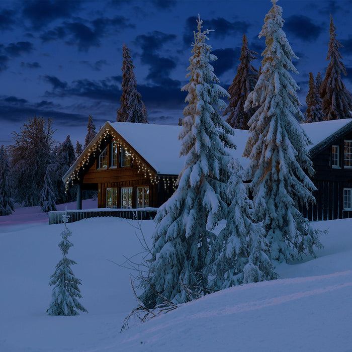 КОЛЕДНО ОСВЕТЛЕНИЕ ВИСУЛКА 119LED 500CM KAEMINGK 494902