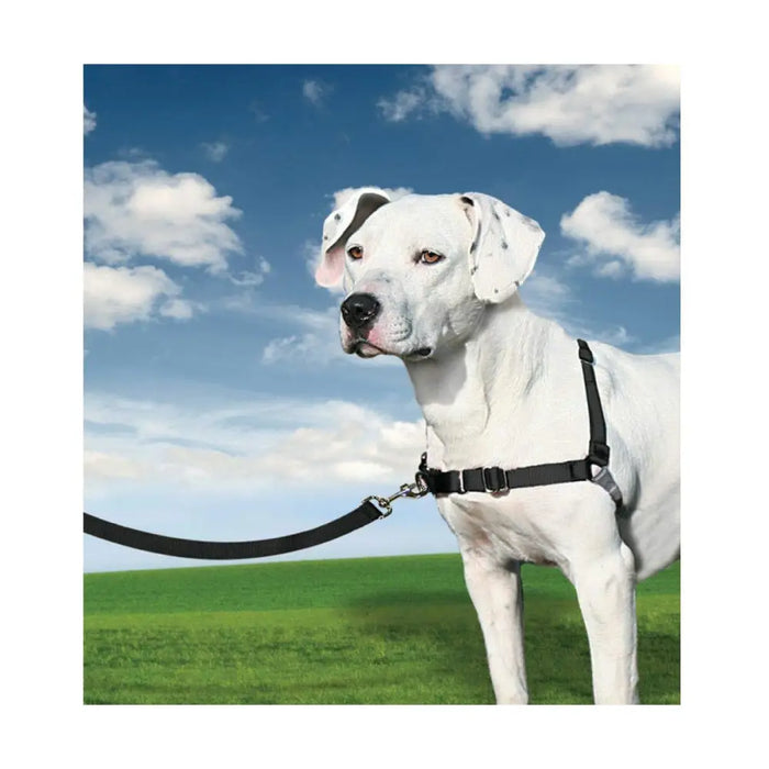 Каишка за домашни любимци PetSafe Easy Walk Черен Medianav