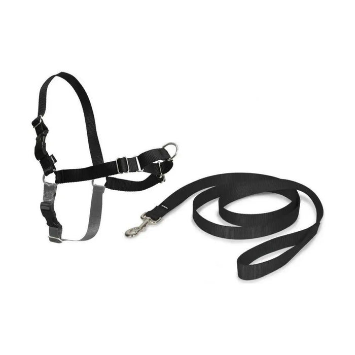 Каишка за домашни любимци PetSafe Easy Walk Черен Medianav