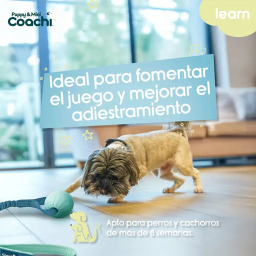 Каишка за Куче Coachi