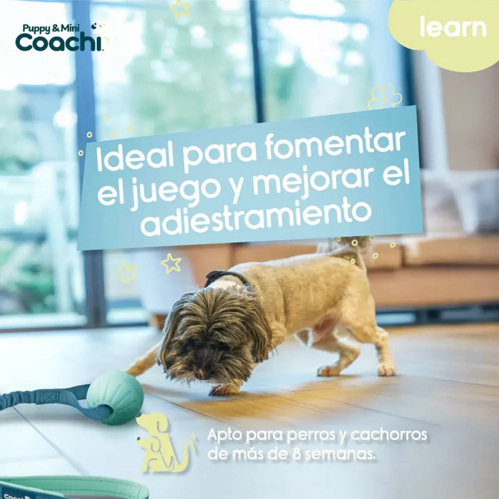 Каишка за Куче Coachi