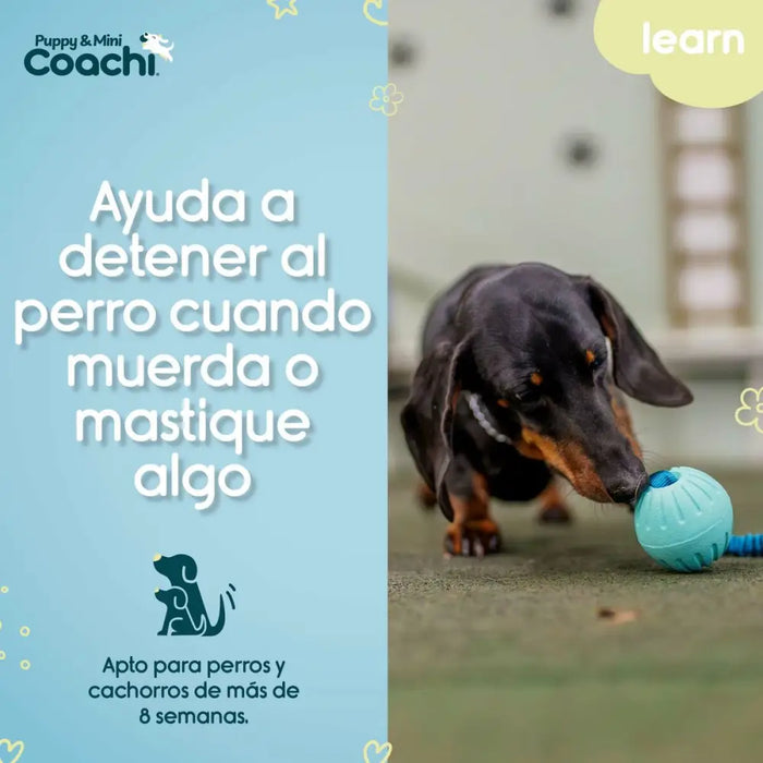 Каишка за Куче Coachi