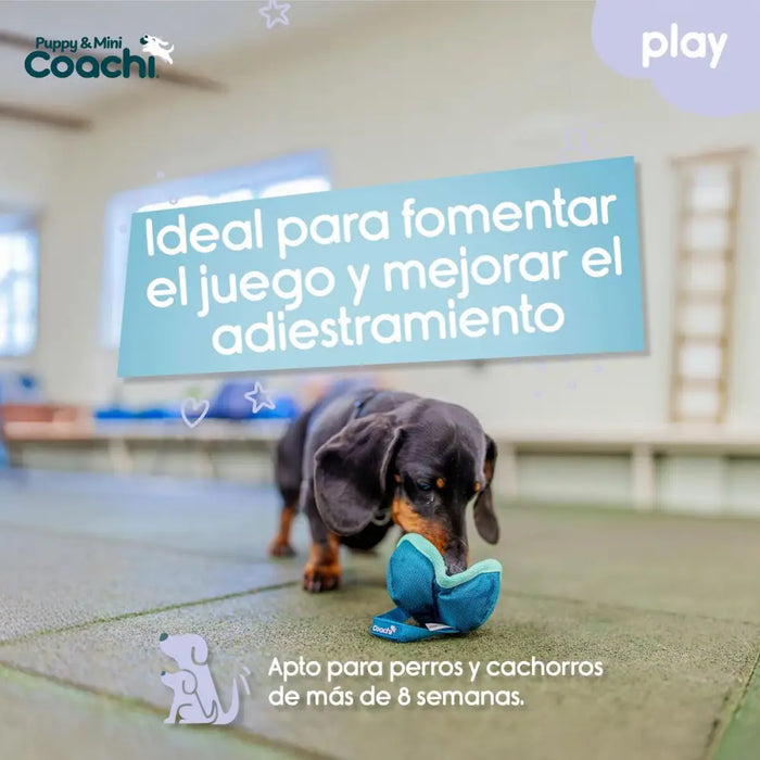 Каишка за Куче Coachi