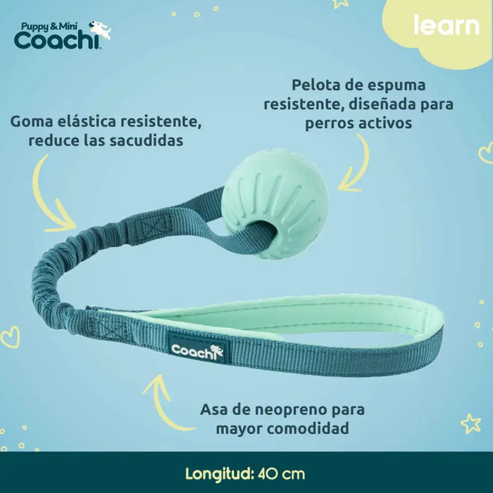 Каишка за Куче Coachi
