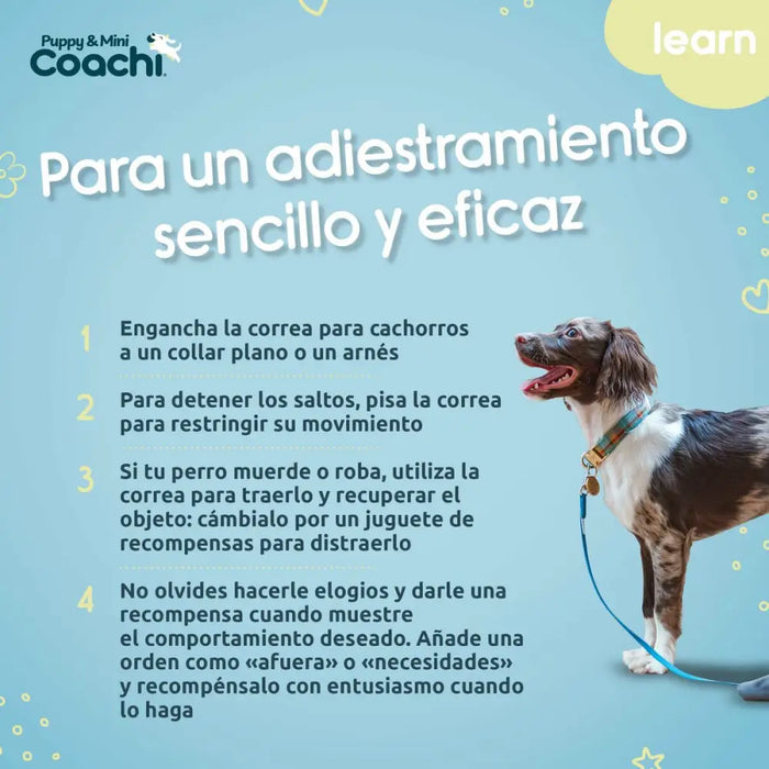 Каишка за Куче Coachi