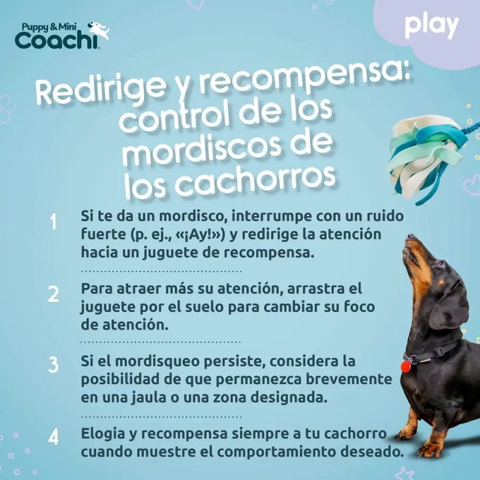 Каишка за Куче Coachi