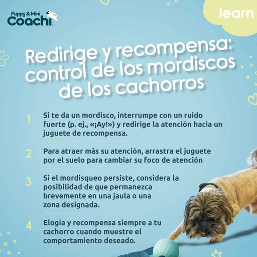Каишка за Куче Coachi