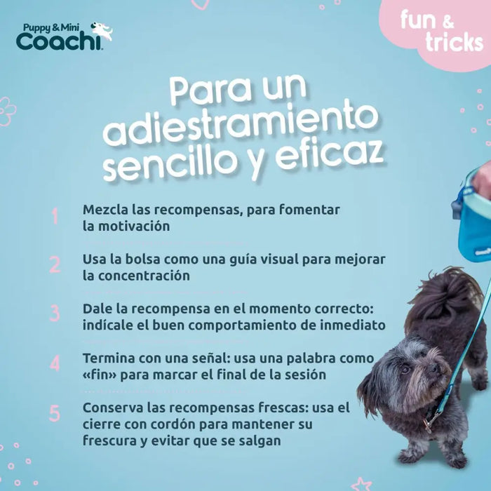 Каишка за Куче Coachi