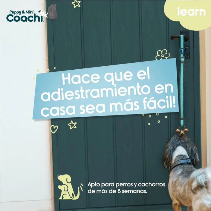 Каишка за Куче Coachi