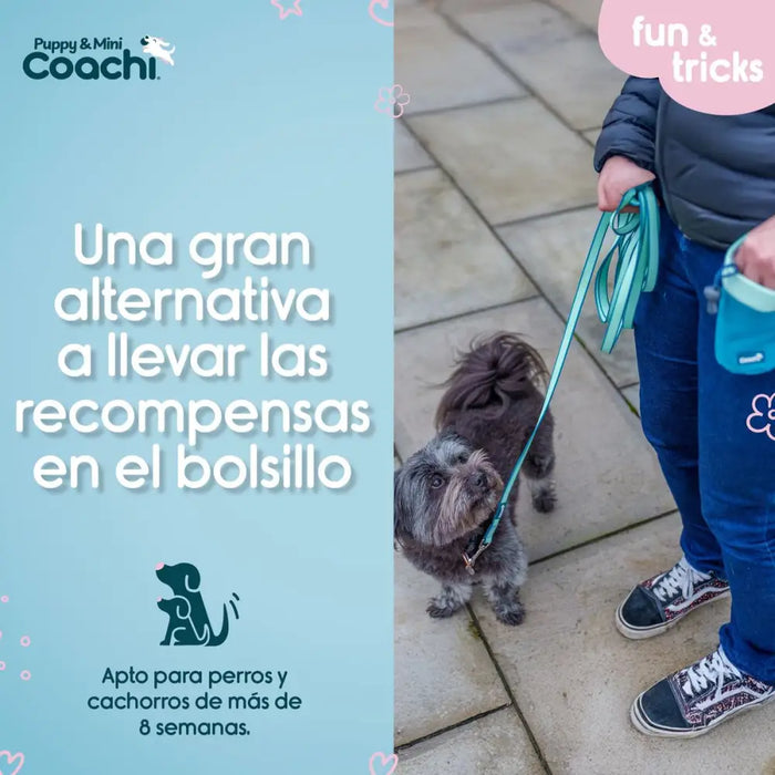 Каишка за Куче Coachi