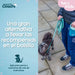 Каишка за Куче Coachi
