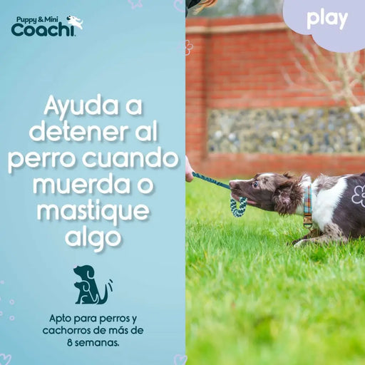 Каишка за Куче Coachi