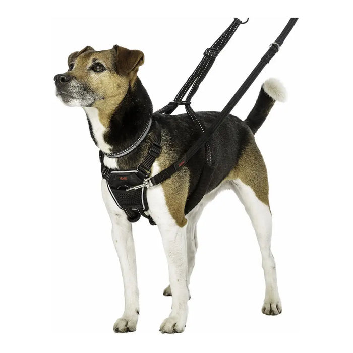 Каишка за Куче Company of Animals Halti Размер S (26-36 cm)