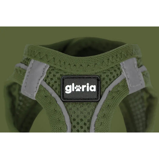 Каишка за Куче Gloria 28-28,6 cm Зелен XXS 24-26 cm