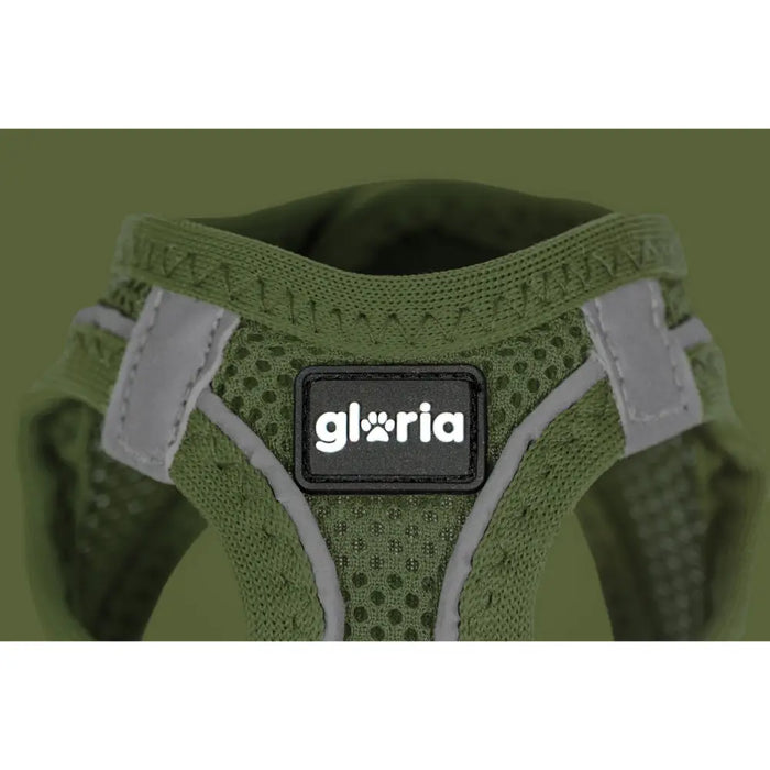 Каишка за Куче Gloria 31-34,6 cm Зелен XS 27-28 cm