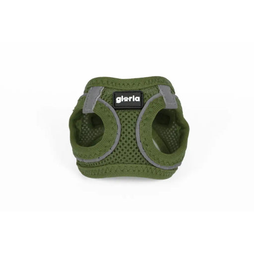 Каишка за Куче Gloria 41,4-43 cm Зелен S 29,4-32,6 cm