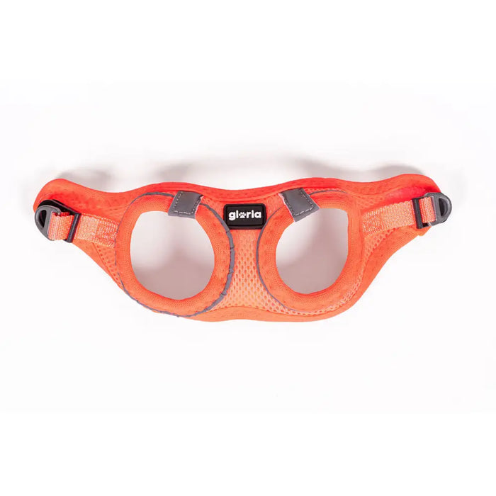 Каишка за Куче Gloria Trek Star 27-28 cm 31-34,6 cm Оранжев