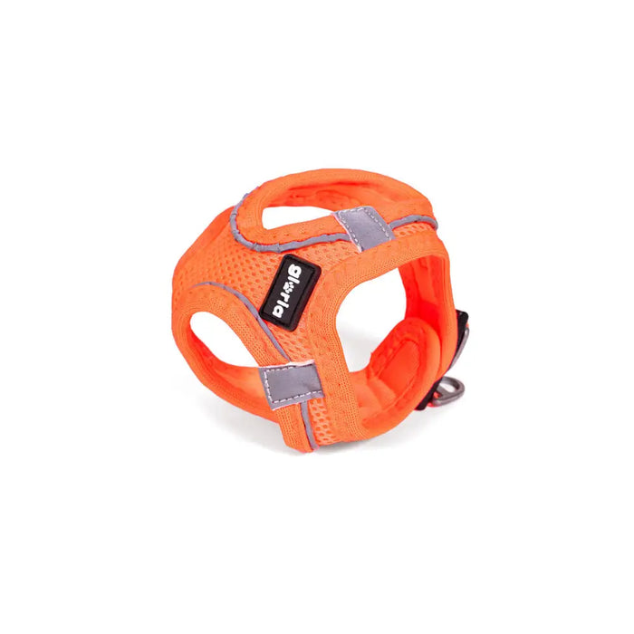 Каишка за Куче Gloria Trek Star 27-28 cm 31-34,6 cm Оранжев