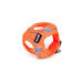 Каишка за Куче Gloria Trek Star 27-28 cm 31-34,6 cm Оранжев