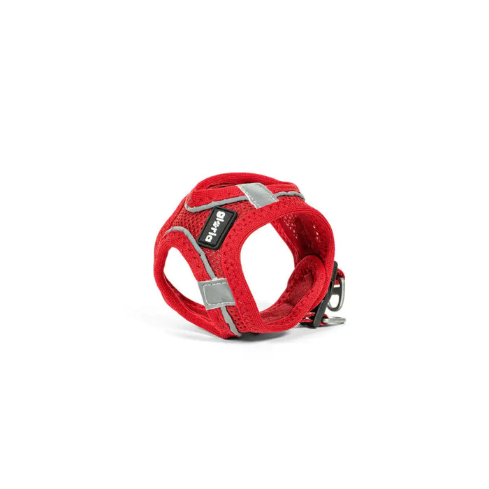 Каишка за Куче Gloria Trek Star 29,4-32,6 cm 41,4-43 cm