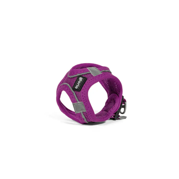 Каишка за Куче Gloria Trek Star 32,8-35,4 cm 45-47 cm Лилав