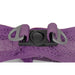 Каишка за Куче Gloria Trek Star 32,8-35,4 cm 45-47 cm Лилав