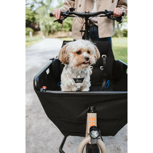 Каишка за Куче Hunter DIVO UP Бежов L