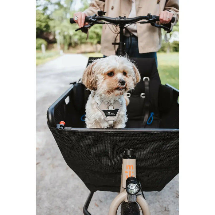 Каишка за Куче Hunter DIVO UP Бежов L/XL