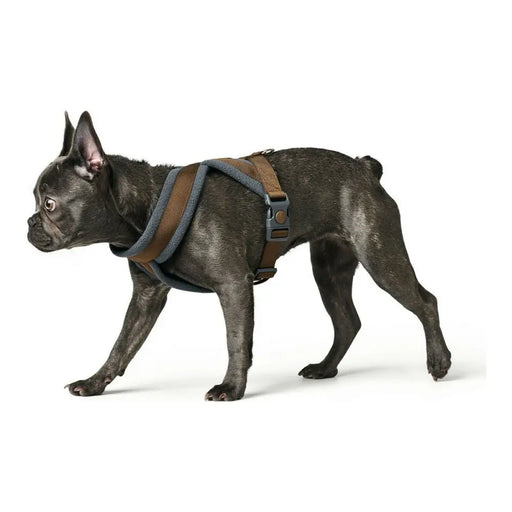 Каишка за Куче Hunter London Comfort 52-62 cm Кафяв Размер