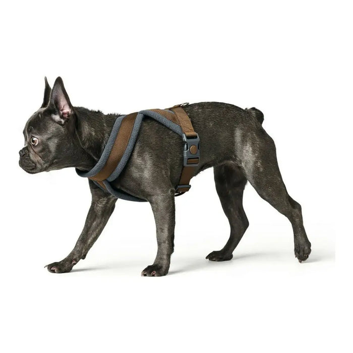 Каишка за Куче Hunter London Comfort 52-62 cm Кафяв Размер